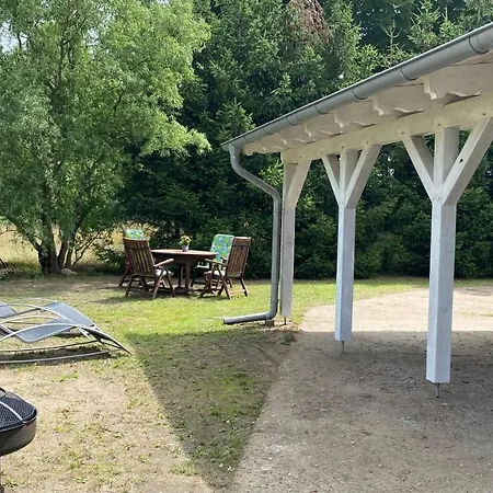 Felix Am Radweg Im Naturschutzgebiet Templin