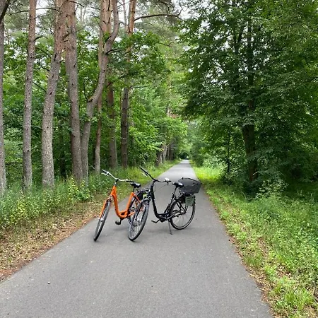 Felix Am Radweg Im Naturschutzgebiet Templin