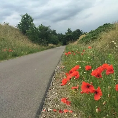Felix Am Radweg Im Naturschutzgebiet
