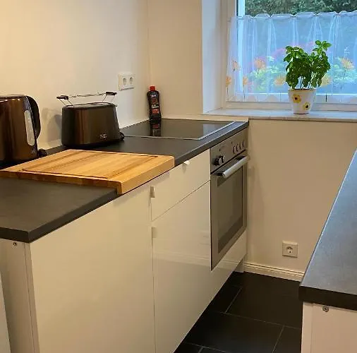 Felix Am Radweg Im Naturschutzgebiet * Templin