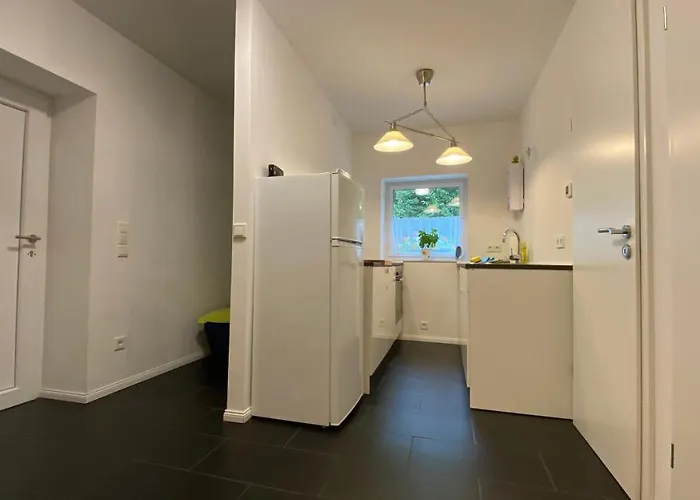 Felix Am Radweg Im Naturschutzgebiet * Templin