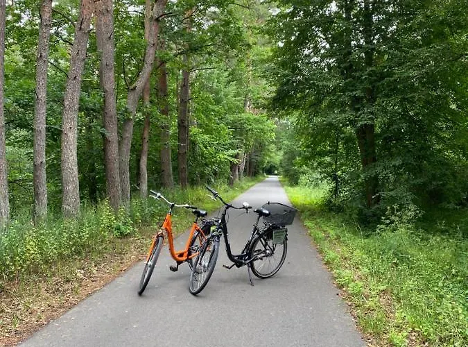 Felix Am Radweg Im Naturschutzgebiet Templin