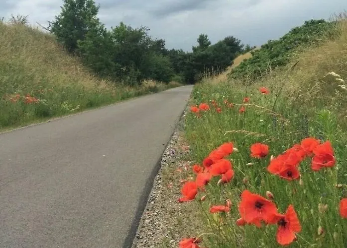 Felix Am Radweg Im Naturschutzgebiet